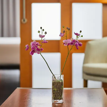 Hotel Silken Atlantida Cruz Santa Cruz de Tenerife